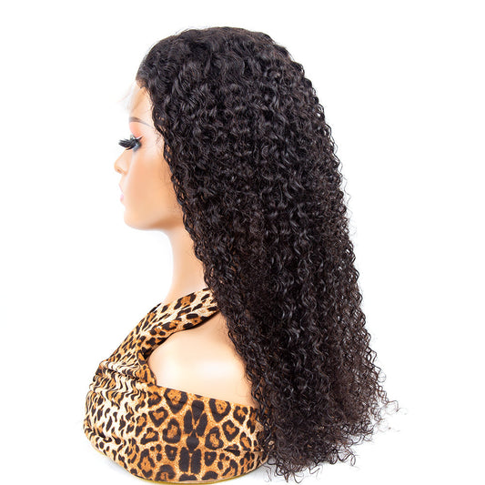 Glueless Lace Curly Hair 6X6 HD Lace Closure Wig 200% Density